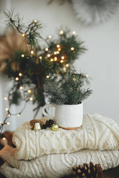 Stylish Modern Cup Fir Branches Cozy Sweater Ornaments Pine Cones — Stock Photo, Image