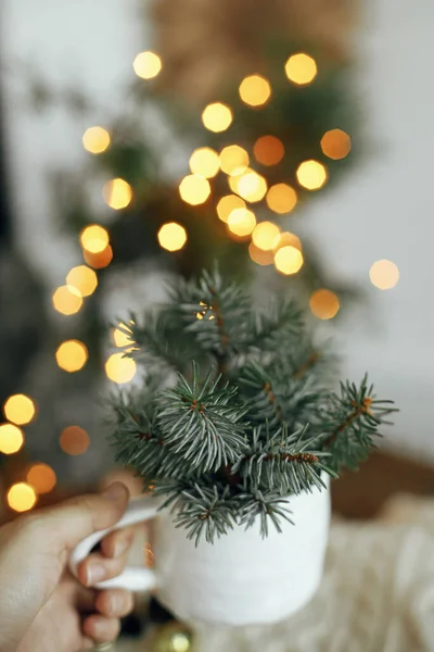 Merry Christmas Hand Holding Stylish Cup Fir Branches Background Cozy — Stock Photo, Image