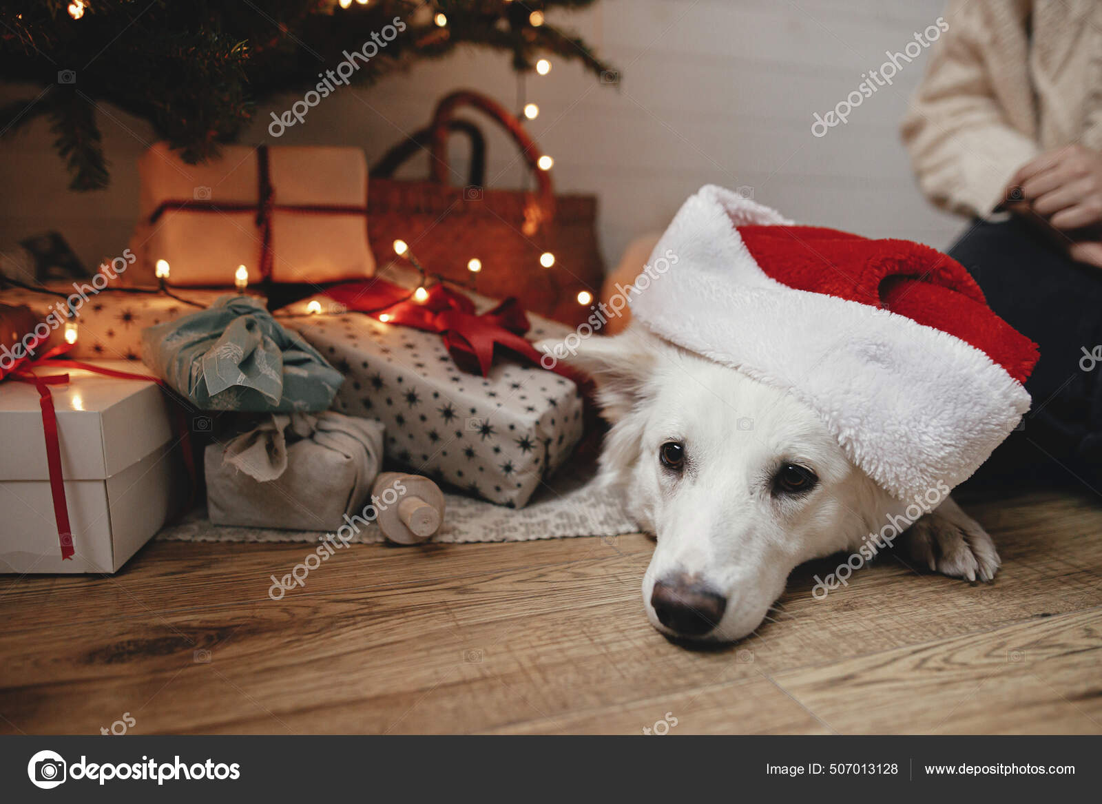 Adorable Dog Red Santa Hat Lying Christmas Tree Gifts Lights