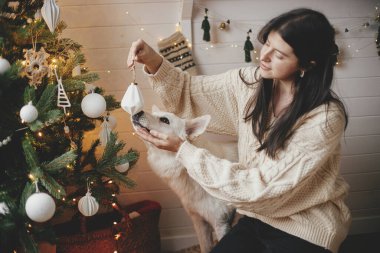 Şık süveter giyen şık bir kadın ve sevimli köpek Noel ağacını süslü İskandinav odasında modern beyaz takılarla süslüyor. Şirin beyaz köpek sahibine yardım ediyor. Hayvan ve kış tatilleri