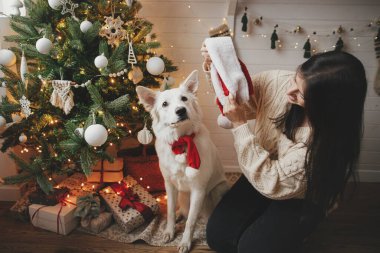 Şık bir kadın Noel ağacında hediyelerle köpek Noel Baba şapkası takıyor. Genç, mutlu bir bayan, İskandinav festivalinde sevimli beyaz köpekle oynuyor. Hayvan ve kış tatilleri