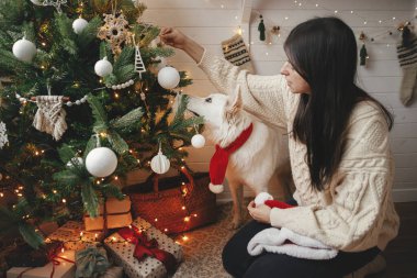 İyi tatiller! Şık süveter giyen şık bir kadın ve sevimli köpek Noel ağacını süslü İskandinav odasında modern beyaz takılarla süslüyor. Şirin beyaz köpek sahibi.