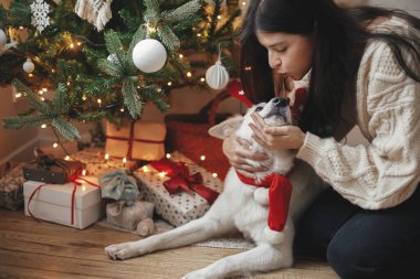 Hediye ve ışıklarla Noel ağacının altında sevimli bir köpeği okşayan hoş bir kadın. Mutlu genç bayan İskandinav şenlik odasında sevimli beyaz köpeğe sarılıp öpüyor. İyi tatiller.
