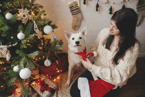 Stylish Woman Putting Adorable Dog Santa Hat Christmas Tree Gifts — Stock Photo, Image