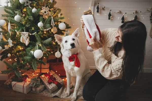 Stijlvolle Vrouw Zet Schattige Hond Santa Hoed Bij Kerstboom Met — Stockfoto