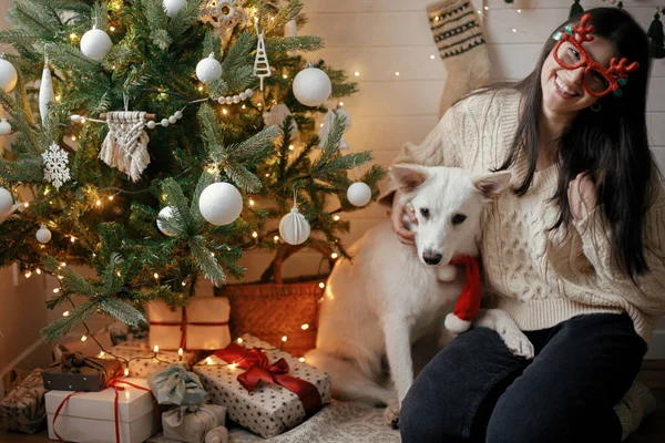 ギフトやライトでクリスマスツリーの下に座ってスタイリッシュな幸せな女性と愛らしい犬 スキャンディナヴィアルームでお祝いのアクセサリーで若い女性とかわいい白い犬 ハッピー ホリデー — ストック写真