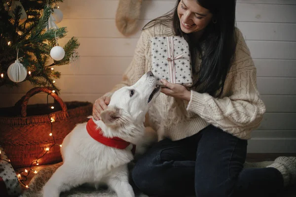 メリークリスマス クリスマスの贈り物を持つスタイリッシュな幸せな女性と光とクリスマスツリーの下に座って愛らしい犬 可愛いです犬と若いです女性ともにラッププレゼントで座っていますフェスティバルScandinavian部屋 — ストック写真