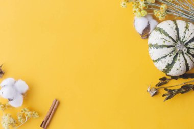 Sonbahar yatağı. Şık balkabağı, sonbahar çiçekleri, sarı arka planda pamuk ve böğürtlen. Metin için alanı olan modern sonbahar kompozisyonu. Merhaba sonbahar. Mutlu Şükran Günleri ve Cadılar Bayramı kartı