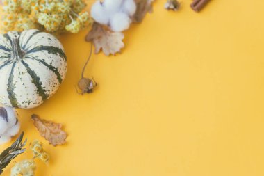 Mutlu Şükran Günleri Şık çizgili balkabağı, sonbahar çiçekleri, pamuk ve sarı arka planda yapraklar. Metin için alan ile modern sonbahar sınırı. Mutlu Cadılar Bayramı kartı