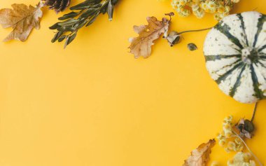 Şükran Günü yatıyordu. Şık çizgili balkabağı, sonbahar çiçekleri, yapraklar, sarı arka planda böğürtlen. Metin için alan ile modern sonbahar sınırı. Mutlu Şükran Günleri ve Cadılar Bayramı kartı