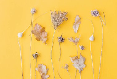 Sonbahar bitkileri düzdü. Kuru otları en az sarı arka planda bırakın. Modern yaratıcı sonbahar kartı. Mutlu Şükran Günü ve Cadılar Bayramı