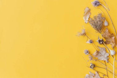 Sonbahar kuru otları sarı arka planda yatıyordu. Modern yaratıcı sonbahar kartı. Mesaj için yer var. Mutlu Şükran Günü ve Cadılar Bayramı