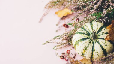 Sonbahar afişi düzdü. Şık çizgili balkabağı, sonbahar yaprakları ve pembe arka planda fundalık. Metin için modern sonbahar sınırı. Mutlu Şükran Günleri ve Cadılar Bayramı kartı