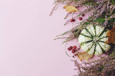 Şükran Günü yatıyordu. Şık çizgili balkabağı, sonbahar yaprakları ve pembe arka planda fundalık. Metin için modern sonbahar sınırı. Mutlu Şükran Günleri ve Cadılar Bayramı kartı