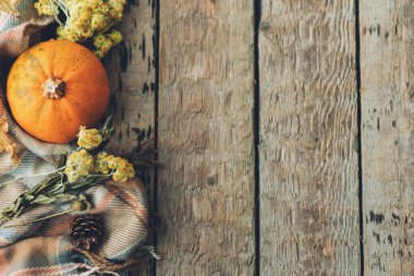 Şükran Günü yatıyordu. Şık balkabağı, sonbahar yaprakları, çiçekler ve eski ahşap arka planda rahat bir battaniye. Kırsal sonbahar sınırında metin için boşluk var. Mutlu Şükran Günü ve Cadılar Bayramı