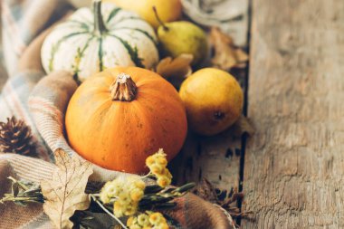 Mutlu Şükran Günleri Şık balkabakları, sonbahar yaprakları, çiçekler, armutlar ve eski ahşap arka planda rahat bir battaniye. Metin için alanı olan kırsal sonbahar kompozisyonu. Cadılar Bayramı