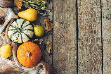 Şükran Günü düzüşmeniz kutlu olsun. Şık balkabakları, sonbahar yaprakları, armutlar ve eski ahşap arka planda hoş bir eşarp. Kırsal sonbahar hasat sınırı. Kırsalda sonbahar