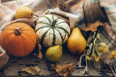 Şık balkabakları, sonbahar yaprakları, armutlar ve eski ahşap arka planda hoş bir eşarp. Kırsal sonbahar hasat bileşimi. Kırsalda sonbahar. Mutlu Şükran Günü ve Cadılar Bayramı