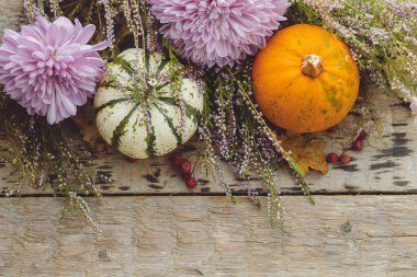 Şükran Günü kırsal yatağı. Şık balkabakları, sonbahar yaprakları, mor yıldız çiçekleri, kırsal ahşap arka planda fundalık. Sonbahar hasadı kırsal yerleşim alanı, yazı için alan. Merhaba sonbahar.