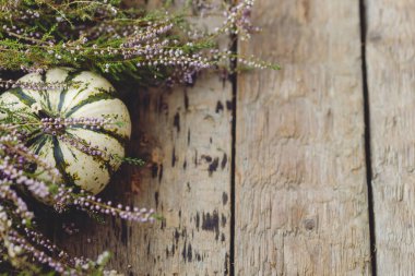 Şükran Günü düzüşmeniz kutlu olsun. Tarz sahibi çizgili balkabağı ve eski ahşap arka planda sonbahar fundalığı. Metin için alan ile kırsal kompozisyonu düşür. Kırsalda sonbahar