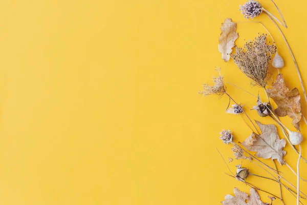 Otoño Hierbas Secas Bordean Sobre Fondo Amarillo Plano Laico Tarjeta —  Fotos de Stock