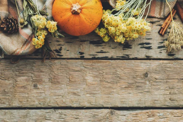 Şükran Günü yatıyordu. Şık balkabağı, sonbahar çiçekleri, otlar ve eski ahşap arka planda rahat bir battaniye. Kırsal sonbahar sınırında metin için boşluk var. Mutlu Şükran Günü ve Cadılar Bayramı