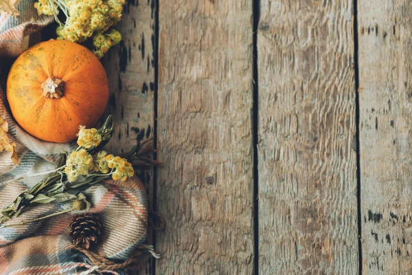 Şükran Günü yatıyordu. Şık balkabağı, sonbahar yaprakları, çiçekler ve eski ahşap arka planda rahat bir battaniye. Kırsal sonbahar sınırında metin için boşluk var. Mutlu Şükran Günü ve Cadılar Bayramı