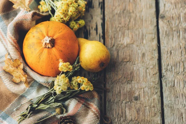 Şık balkabağı, sonbahar yaprakları, çiçekler, armutlar ve eski ahşap arka planda rahat bir battaniye. Kırsal sonbahar sınırı ve metin için boşluk. Mutlu Şükran Günü ve Cadılar Bayramı