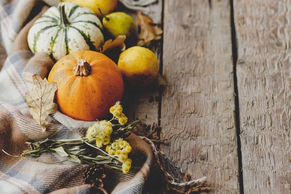 Mutlu Şükran Günleri Şık balkabakları, sonbahar yaprakları, çiçekler, armutlar ve eski ahşap arka planda rahat bir battaniye. Metin için alanı olan kırsal sonbahar kompozisyonu. Cadılar Bayramı