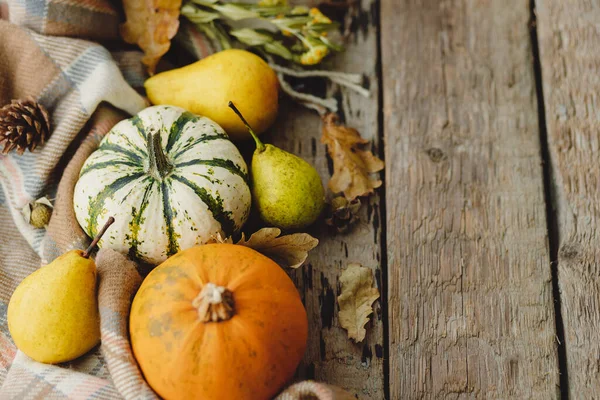 Mutlu Şükran Günleri Şık balkabakları, sonbahar yaprakları, armutlar ve eski ahşap arka planda hoş bir eşarp. Metin için alanı olan kırsal sonbahar kompozisyonu. Kırsalda sonbahar. Cadılar Bayramı