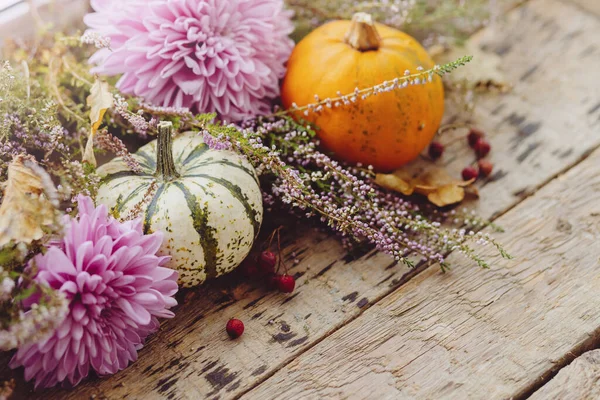 Feliz Día Acción Gracias Calabazas Elegantes Hojas Otoño Flores Dalias — Foto de Stock