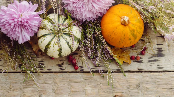 Thanksgiving Rustikal Flach Lag Stilvolle Kürbisse Herbstblätter Lila Dahlienblüten Heidekraut — Stockfoto
