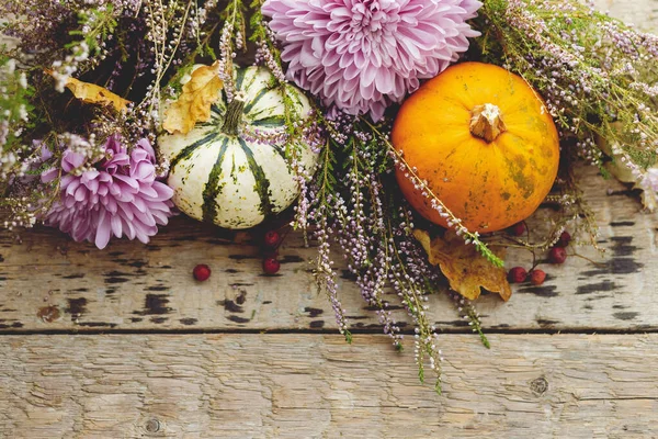 Şükran Günü düzüşmeniz kutlu olsun. Şık balkabakları, sonbahar yaprakları, mor yıldız çiçekleri, kırsal ahşap arka planda fundalık. Sonbahar hasadı kırsal yerleşim alanı, yazı için alan. Merhaba sonbahar. Cadılar Bayramı