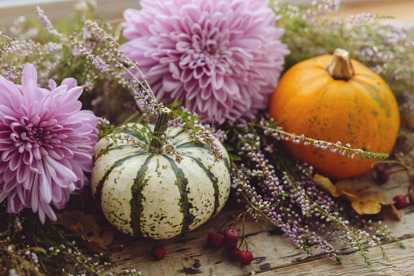 Herbst Auf Dem Land Stilvolle Kürbisse Herbstblätter Lila Dahlienblüten Heidekraut — Stockfoto