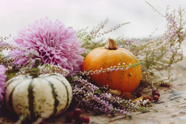 Frohes Thanksgiving Stilvolle Kürbisse Lila Dahlienblüten Herbstheide Auf Rustikalem Altem — Stockfoto