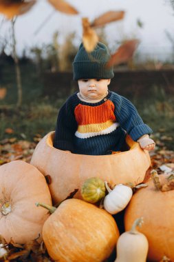 Sonbahar bahçesinde balkabağı ve yapraklarla büyük bir balkabağının içinde oturan tatlı erkek bebek. Mutlu Şükran Günleri ve Mutlu Cadılar Bayramı. Şirin süveterli, balkabağıyla oynayan tatlı bir çocuk.