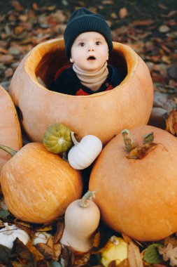 Sonbahar bahçesinde balkabağı ve yapraklarla büyük bir balkabağının içinde oturan tatlı erkek bebek. Mutlu Şükran Günleri ve Mutlu Cadılar Bayramı. Şirin süveterli, balkabağıyla oynayan tatlı bir çocuk.