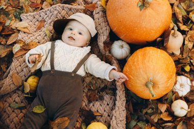 Sonbahar bahçesinde balkabağı ve yapraklarla uzanmış tatlı bir oğlan çocuğu. Mutlu Şükran Günleri ve Mutlu Cadılar Bayramı. Tatlı küçük çocuk rahat bir ekoseyle rahatlıyor