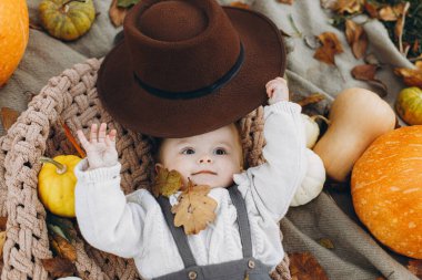 Şapkalı, balkabağı ve sonbahar yapraklarıyla battaniyeye uzanmış sevimli bir oğlan çocuğu. Sonbahar parkında yapraklarla rahatlayan sevimli, mutlu bir çocuk. Hasat ve Mutlu Şükran Günleri