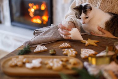Şirin kedisi olan bir kadın birlikte zencefilli Noel kurabiyesi yapıyor. Masada kremalı kurabiyeler, şömineye karşı tatlı kedi, atmosfer arifesi. Kış tatili hazırlığı
