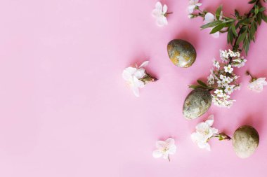 Paskalya düzlüğü. Paskalya yumurtaları ve pembe arka planda kiraz çiçekleri. Paskalya kutlaması, sezon kutlaması. İlkbahar modern çiçek bayrağı