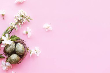 Paskalya düzlüğü. Yuvada zarif paskalya yumurtaları ve pembe arka planda kiraz çiçekleri. Paskalya kutlaması, sezon kutlaması. İlkbahar modern çiçek bayrağı