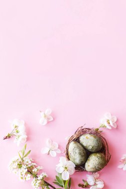 Mutlu Paskalyalar! Yuvasında kiraz çiçekli paskalya yumurtaları pembe arka planda yatıyordu. Stil yay şablonu ve metin için boşluk. Paskalya tebrik kartı ya da afişi