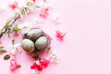 Mutlu Paskalyalar! Yuvasında kiraz çiçekli paskalya yumurtaları pembe arka planda yatıyordu. Stil yay şablonu ve metin için boşluk. Paskalya tebrik kartı ya da afişi