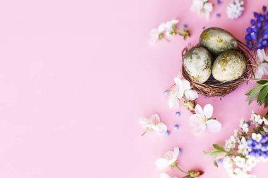 Mutlu Paskalyalar! Yuvasında kiraz çiçekli paskalya yumurtaları pembe arka planda yatıyordu. Stil yay şablonu ve metin için boşluk. Paskalya tebrik kartı ya da afişi