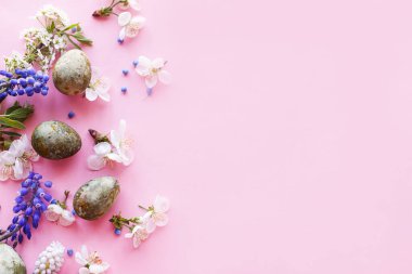 Mutlu Paskalyalar! Kiraz çiçekli Paskalya yumurtaları pembe arka planda yatıyordu. Stil yay şablonu ve metin için boşluk. Paskalya tebrik kartı ya da afişi