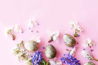 Mutlu Paskalyalar! Kiraz çiçekli Paskalya yumurtaları pembe arka planda yatıyordu. Stil yay şablonu ve metin için boşluk. Paskalya tebrik kartı ya da afişi