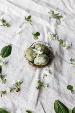 Mutlu Paskalyalar! Yuvadaki doğal boyanmış yumurtalar ve keten arka plandaki bahar çiçekleri düz. Metin, Paskalya tebrik kartı veya asgari afiş için alanı olan bir tatil şablonu