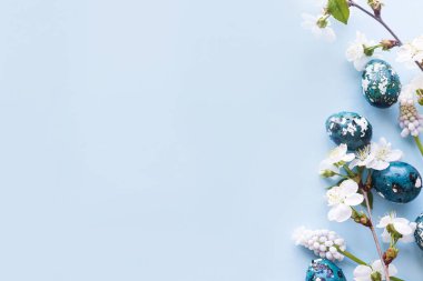 Paskalya düzlüğü. Mavi arka planda şık paskalya yumurtaları ve kiraz çiçekleri. Paskalya kutlaması, sezon kutlaması. İlkbahar modern çiçek bayrağı