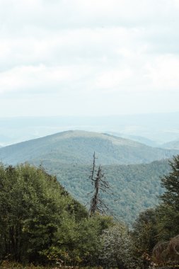 güzel muhteşem manzara
